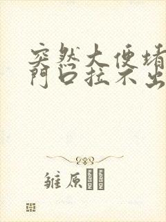 突然大便堵在肛门口拉不出来