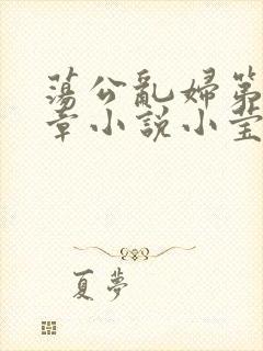 荡公乱妇第51章小说小莹