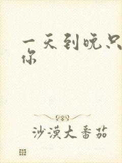 一天到晚只想着你封面