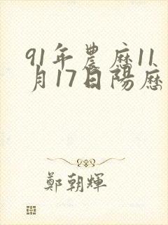 91年农历11月17日阳历是多少