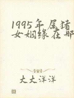 1995年属猪女姻缘在哪年