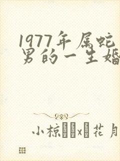 1977年属蛇男的一生婚姻如何