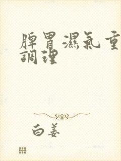 脾胃湿气重怎样调理