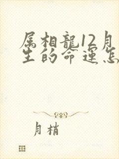 属相龙12月出生的命运怎么样