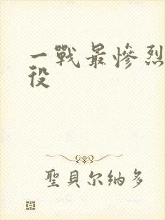 一战最惨烈的战役封面