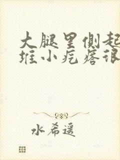 大腿里侧起了一堆小疙瘩很痒