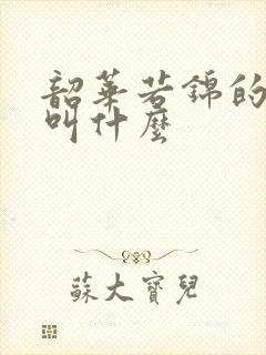 韶华若锦的小说叫什么封面