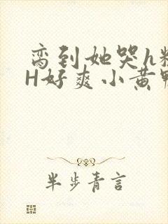 脔到她哭h粗话H好爽小黄鸭视频封面