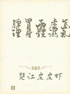 脾胃两虚怎么调理身体湿气重