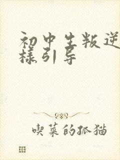 初中生叛逆心怎样引导