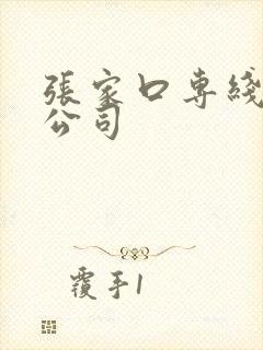 张家口专线物流公司