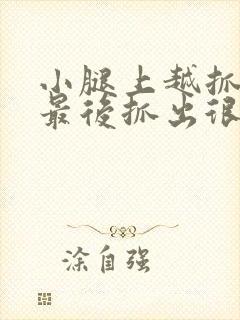 小腿上越抓越痒最后抓出很多小疙瘩