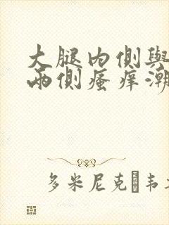 大腿内侧与阴囊两侧瘙痒潮湿用药