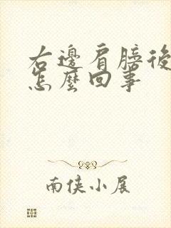 右边肩膀后背疼怎么回事封面