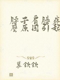 脖子肩膀疼痛什么原因引起的