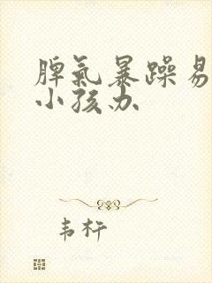 脾气暴躁易怒的小孩办