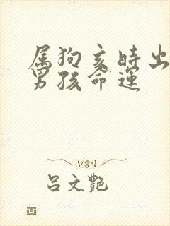 属狗亥时出生的男孩命运