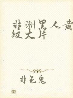 非洲黑人黄色一级大片