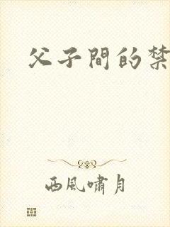 父子间的禁忌封面