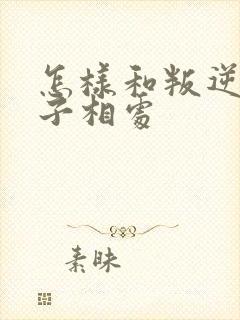 怎样和叛逆期儿子相处封面