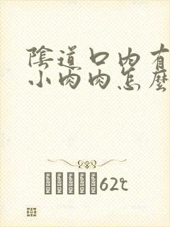 阴道口内有很多小肉肉怎么回事