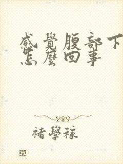 感觉腹部下坠是怎么回事封面