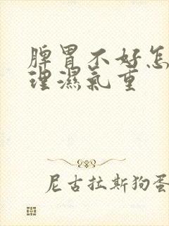 脾胃不好怎么调理湿气重封面