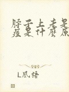 脖子上老是长痘痘是什么原因