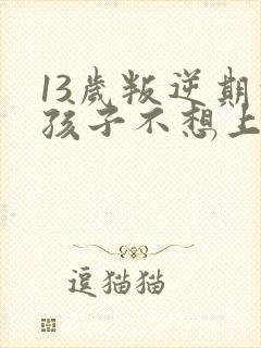 13岁叛逆期的孩子不想上学