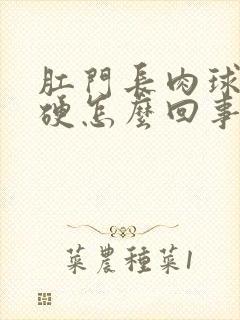 肛门长肉球是很硬怎么回事