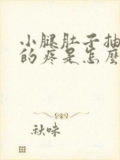 小腿肚子抽筋似的疼是怎么回事封面