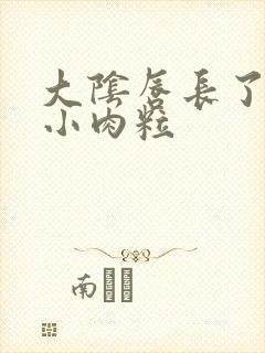 大阴唇长了一个小肉粒