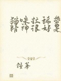 猫咪拉稀带血但精神很好是怎么回事怎么办