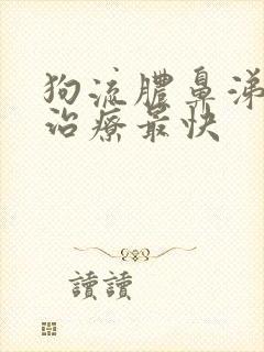 狗流脓鼻涕怎么治疗最快