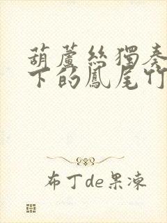 葫芦丝独奏月光下的凤尾竹曲谱