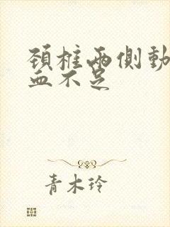 颈椎两侧动脉供血不足