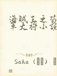 海贼王之苟到海军大将小说