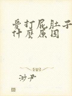 爱打屁肚子胀是什么原因