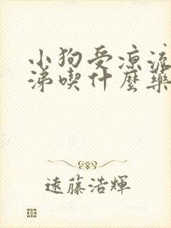 小狗受凉流清鼻涕吃什么药封面