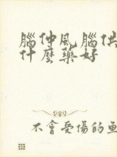 脑仲风脑供血吃什么药好