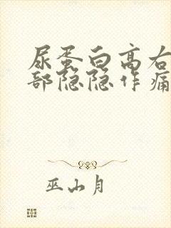 尿蛋白高右侧腰部隐隐作痛