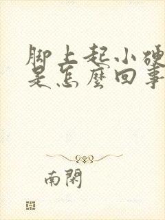 脚上起小硬疙瘩是怎么回事