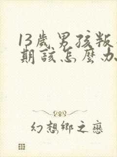 13岁男孩叛逆期该怎么办封面