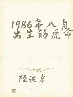 1986年八月出生的虎命运如何