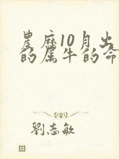 农历10月出生的属牛的命运怎么样