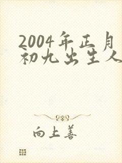 2004年正月初九出生人的命运