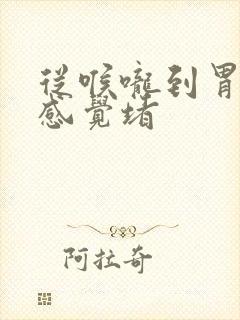 从喉咙到胃这段感觉堵