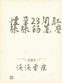 怀孕23周肚子胀胀的怎么回事