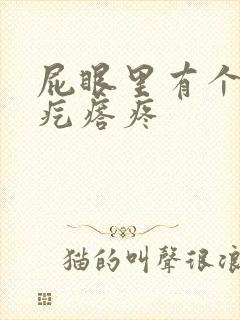 屁眼里有个硬的疙瘩疼