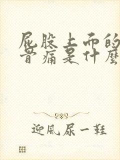 屁股上面的尾椎骨痛是什么原因